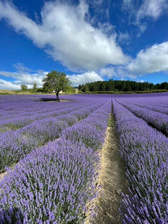 A Mont Nos Hotes 2 Mollans-sur-Ouvèze エクステリア 写真